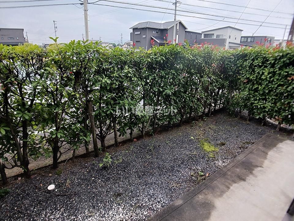 庭