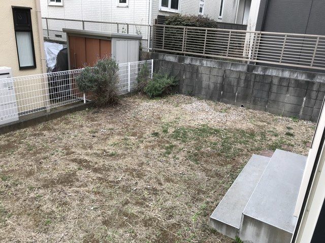 庭
