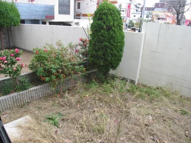 庭