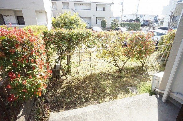 庭