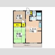 メゾン立川の間取り画像