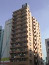 ダイアパレス川崎元木町の外観