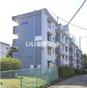 緑ヶ丘第1住宅4302号棟の外観画像