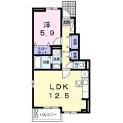 セレーノ プラシードの間取り画像