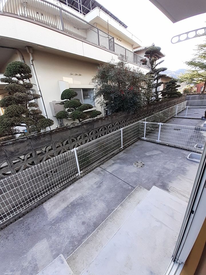 庭