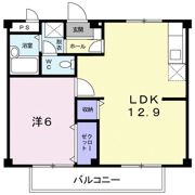 シティハイツ川地の間取り画像