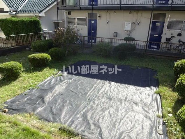 庭