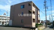 コズミックプレイスの間取り画像