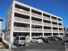 ベル グリシーヌの間取り画像