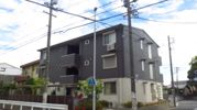 Le Merciの間取り画像