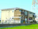 ハマナス T，Yの間取り画像