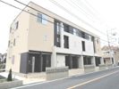 メロー・イエローの外観