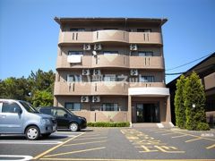 ポリッシュの外観画像