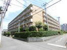 ミレニアム北浦和の間取り画像