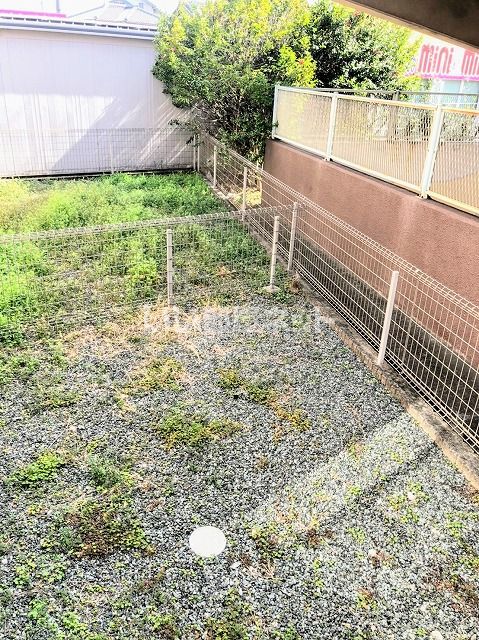庭