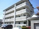 ジュネス東大利の間取り画像