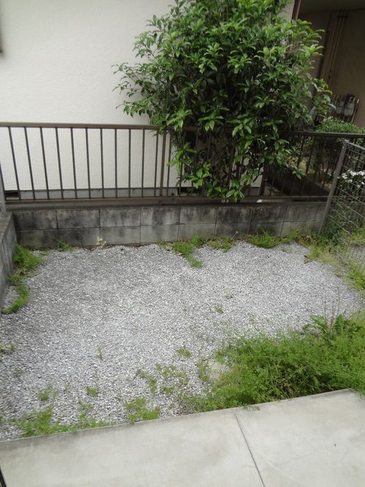 庭