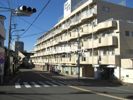 シーザーレジデンス福生の外観