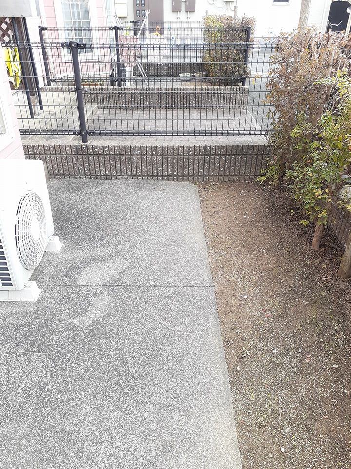 庭
