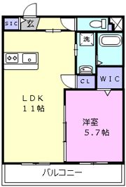 ベルフォーレの間取り画像