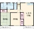 林ビルの間取り画像