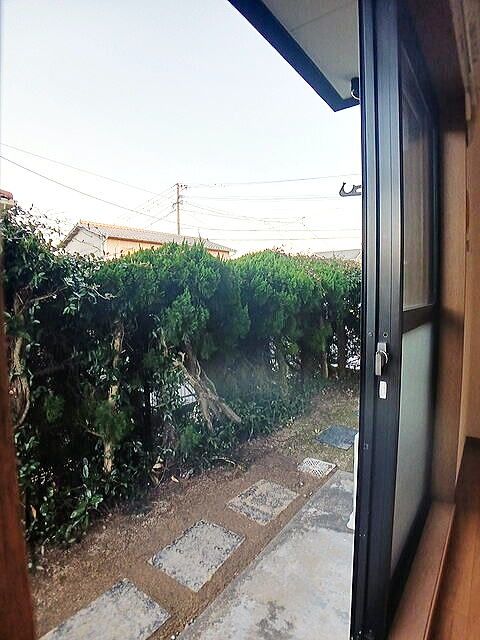 庭