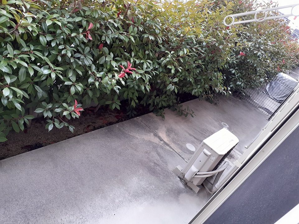 庭