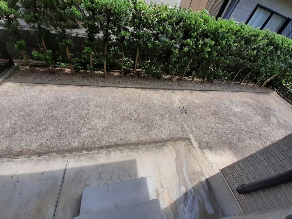 庭
