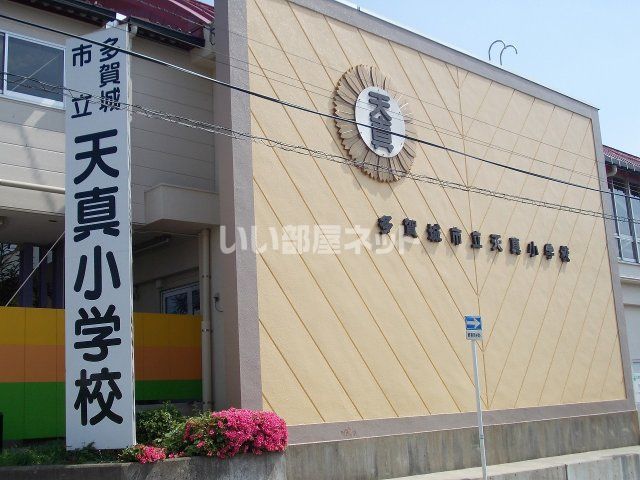 近くの多賀城市立天真小学校まで1,585m（徒歩20分）