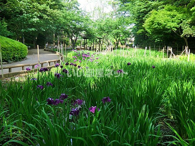近くの公園まで1,067m（徒歩14分）