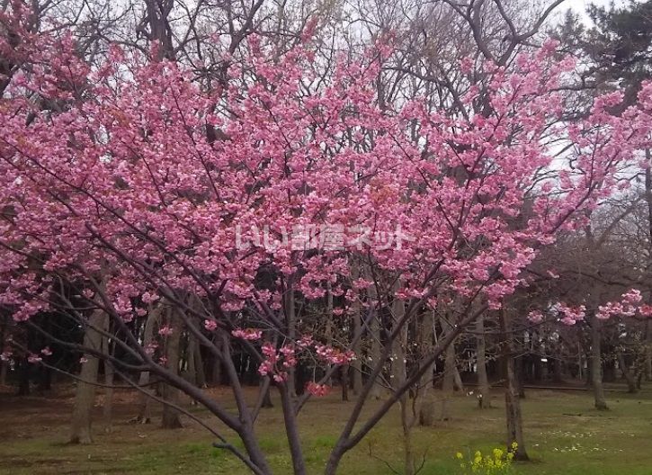 近くの公園まで900m（徒歩12分）