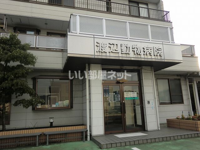 近くの渡辺動物病院まで1,021m(徒歩13分)