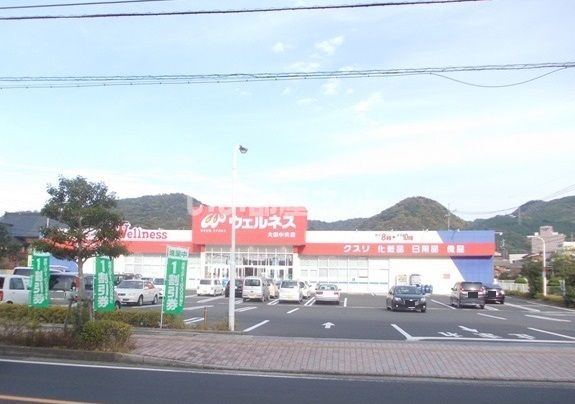 近くのウエルネス大田中央店まで1,837m（徒歩23分）