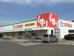 近くのドラッグストアまで877m（徒歩11分）