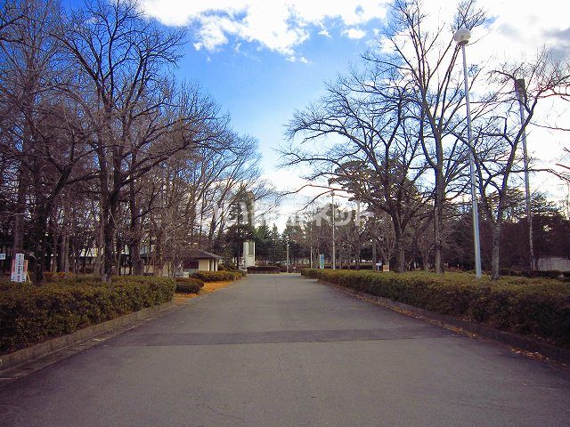近くの駒場公園まで734m（徒歩10分）