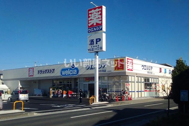 近くのドラッグストアまで255m（徒歩4分）