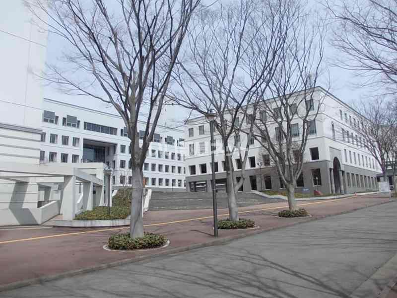 近くの大学・短大まで382m（徒歩5分）