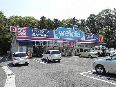 近くにドラッグストアあり
