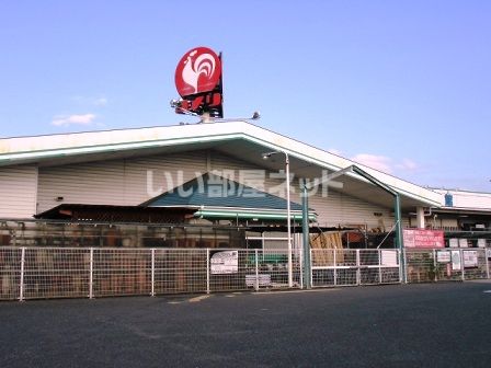 近くのホームセンターまで1,939m（徒歩25分）