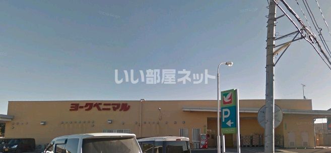 近くのスーパーまで819m（徒歩11分）