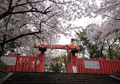 近くの生玉公園まで1,501m(徒歩19分)