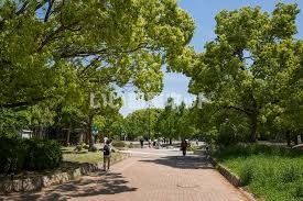 近くの長居公園まで1,284m(徒歩17分)