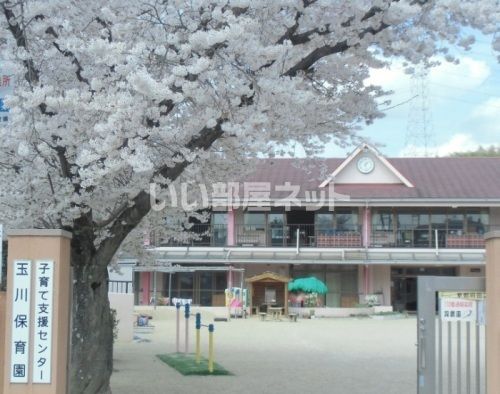 近くの玉川保育園まで828m（徒歩11分）