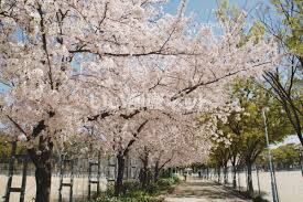 近くの巽公園まで1,145m（徒歩15分）