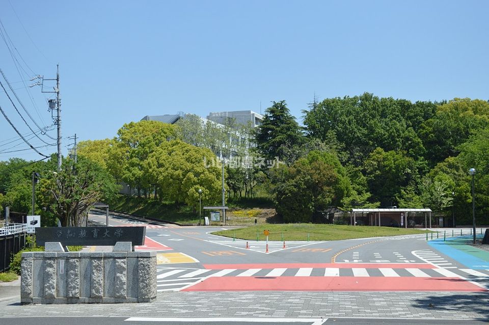 近くの大学・短大まで1,000m（徒歩13分）