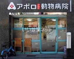 近くのアポロきしのさと動物病院まで867m(徒歩11分)