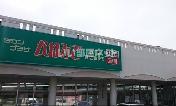 近くのタウンプラザかねひで石川店まで701m（徒歩9分）