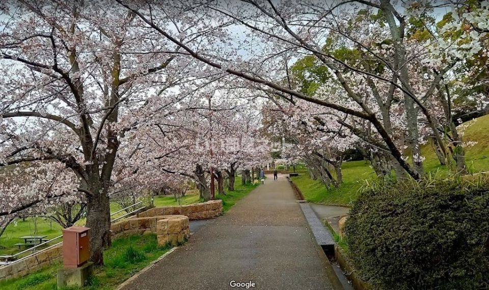 近くの公園まで2,244m（徒歩29分）