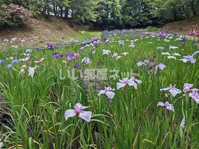 近くに公園あり