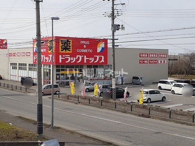 近くのドラッグストアまで2,522m（徒歩32分）